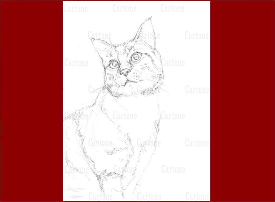 174a グレーの猫 | 下絵工房カルトーネ