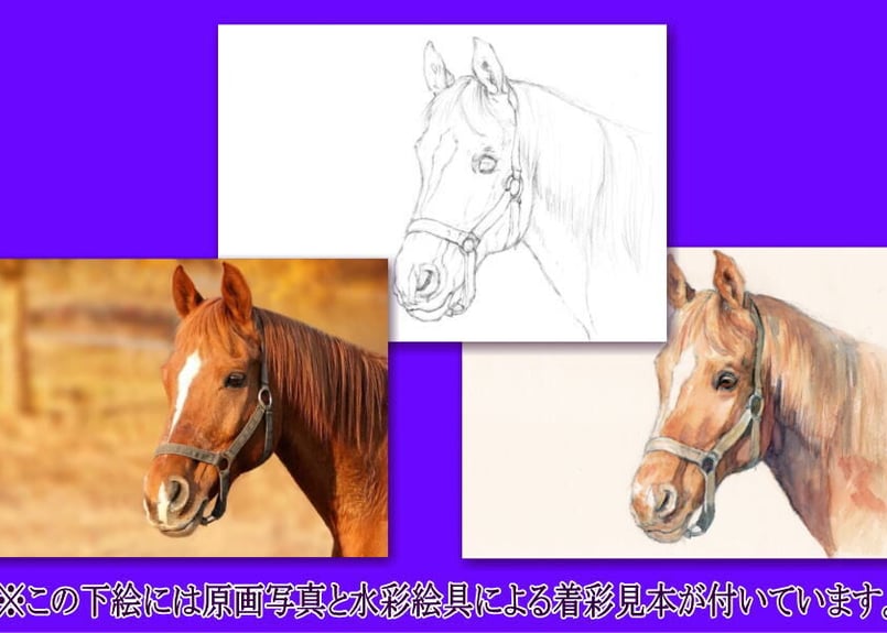 093d 馬の頭部 （着彩見本付き） | 下絵工房カルトーネ