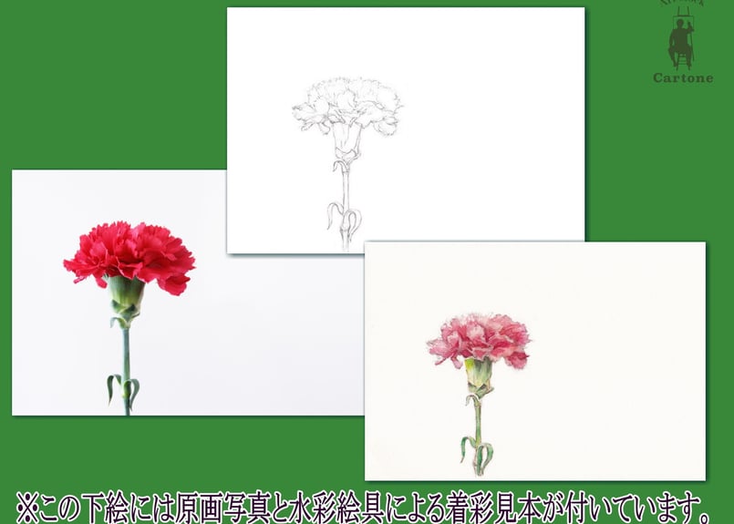 019d 赤いカーネーション （着彩見本付き） | 下絵工房カルトーネ