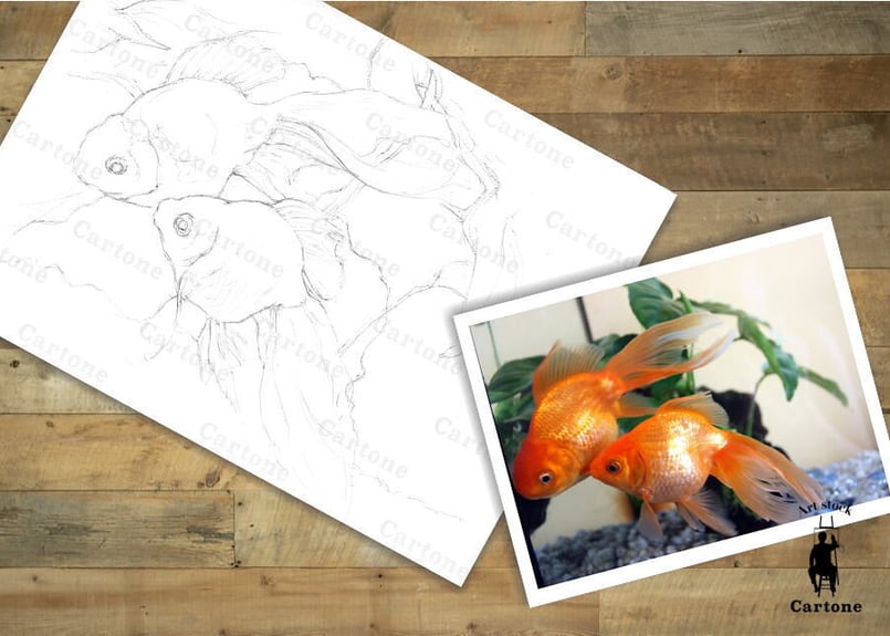 126c 金魚 | 下絵工房カルトーネ