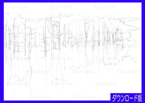 204c 北海道・美瑛の青い池