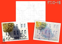 187d 街路樹と木陰（着彩見本付き）