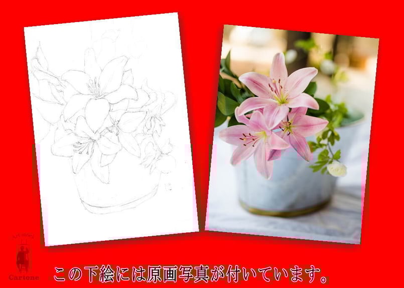 ゆりページ yuriページ ゆりページ Yuriページ ユリ Yuri Reviews: Megaman ZX