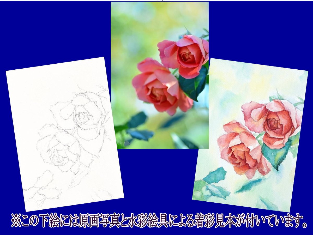 016b 二輪のバラ （着彩見本付き） | 下絵工房カルトーネ