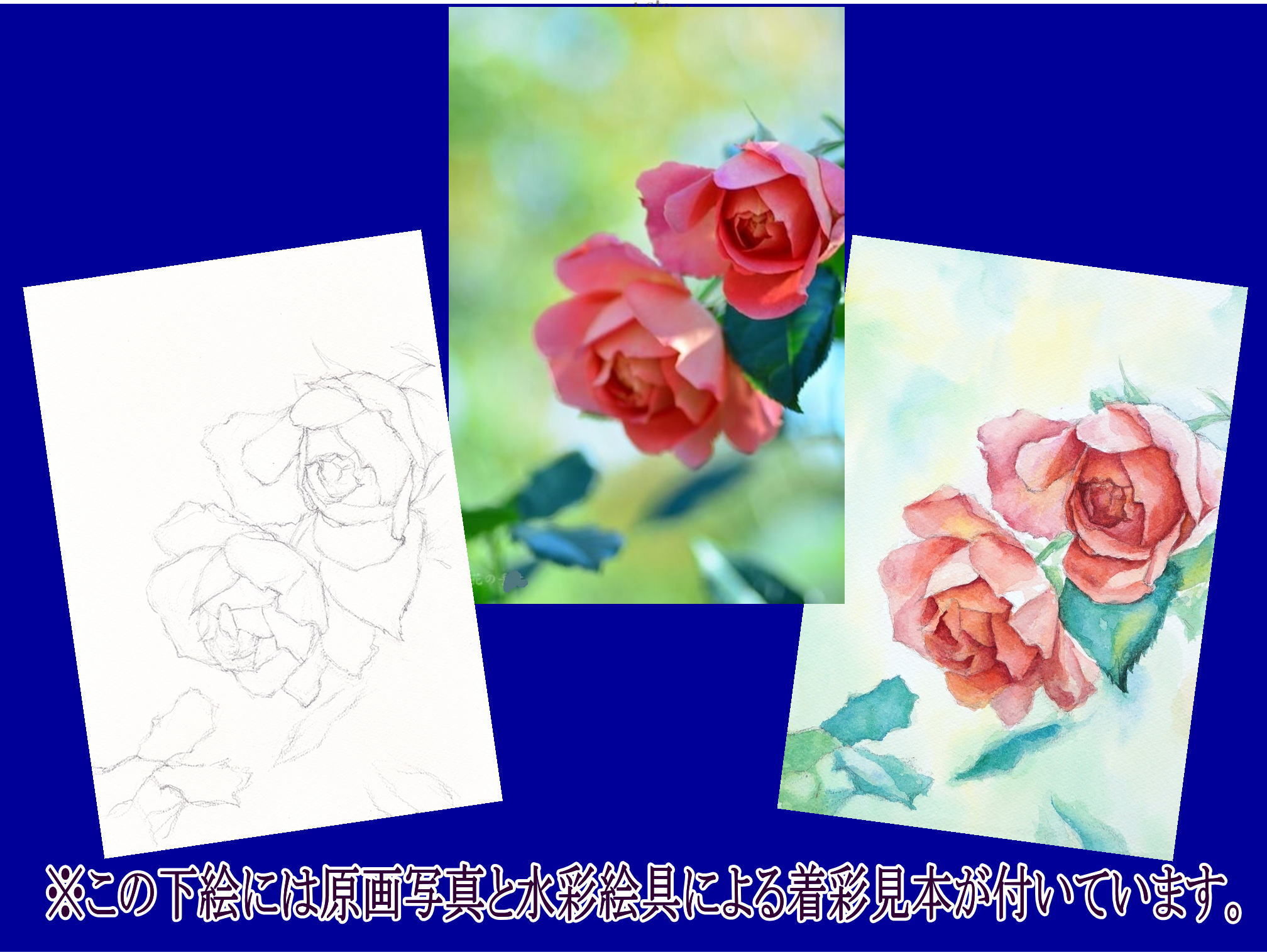 016b 二輪のバラ （着彩見本付き） | 下絵工房カルトーネ