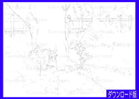 215c 草叢