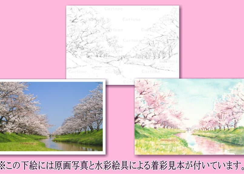 077b 川辺の桜 （着彩見本付き） | 下絵工房カルトーネ