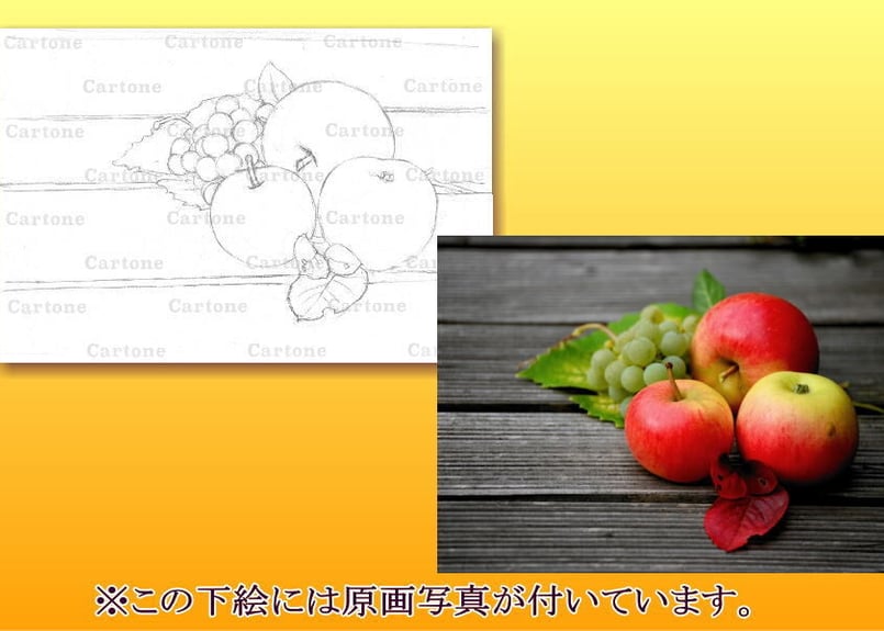 073c リンゴ | 下絵工房カルトーネ