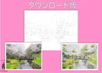 211d 川岸の桜（着彩見本付き）