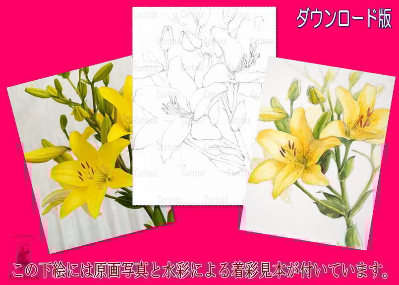 ユリ　百合　絵画 百合, 絵画 玲珑 朱によって | ArtMajeur