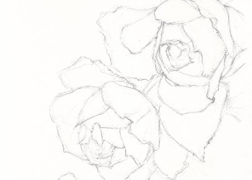 016c 二輪のバラ | 下絵工房カルトーネ