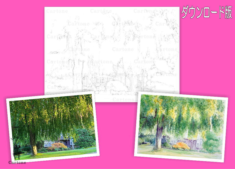 岬めぐり( 水彩画 木製フレーム付き) 白樺の小径」透明水彩画 原画 風景画 額縁付 F4サイズ 絵画 Oni