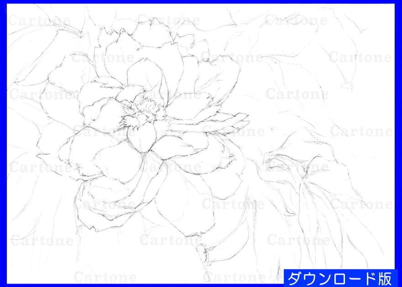 油絵　専用　ももいろのしゃくやく 油絵 専用 ももいろのしゃくやく 楽天市場】芍薬（油彩画｜絵画
