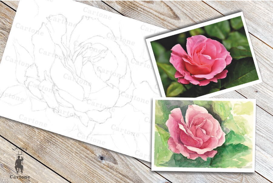 143b ピンクのバラ (着彩見本付き) | 下絵工房カルトーネ