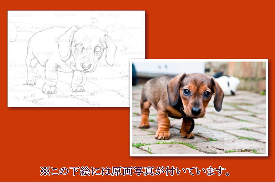 086a ダックスフンドの子犬 | 下絵工房カルトーネ
