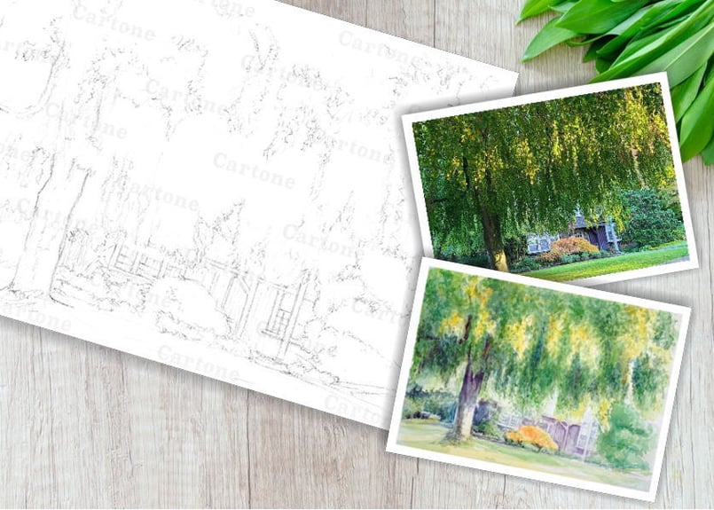 196d 緑の大樹 （着彩見本付き） | 下絵工房カルトーネ