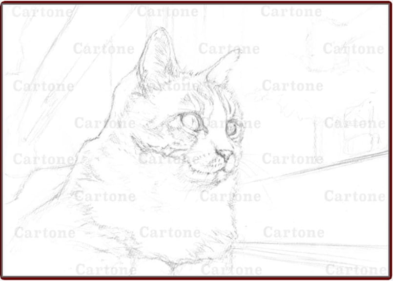 009d 窓際の猫 （着彩見本付き） | 下絵工房カルトーネ
