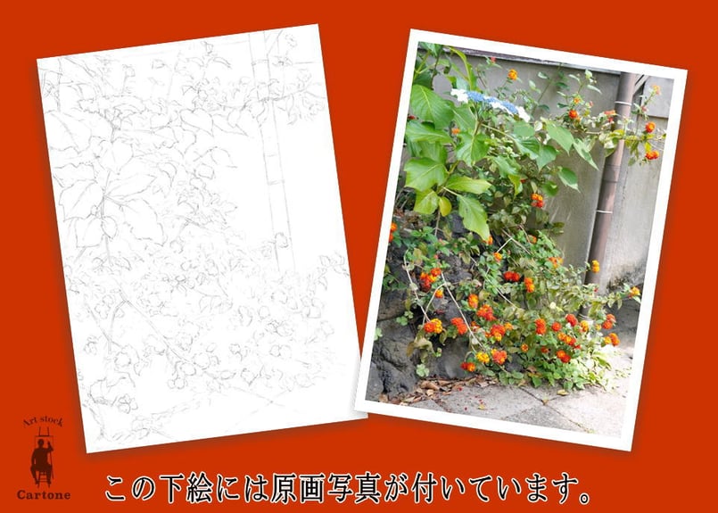 205a 路地に咲く花 | 下絵工房カルトーネ
