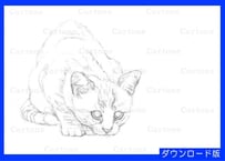 090c  屈む猫