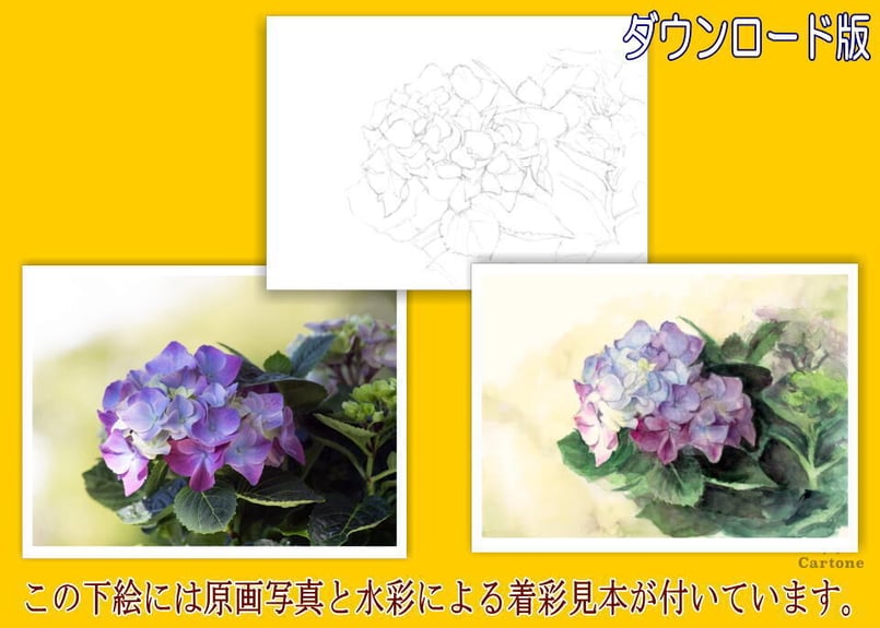 120d 紫陽花 （着彩見本付き） | 下絵工房カルトーネ
