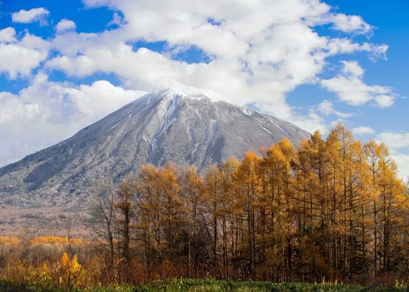 137d 秋の羊蹄山 （着彩見本付き） | 下絵工房カルトーネ