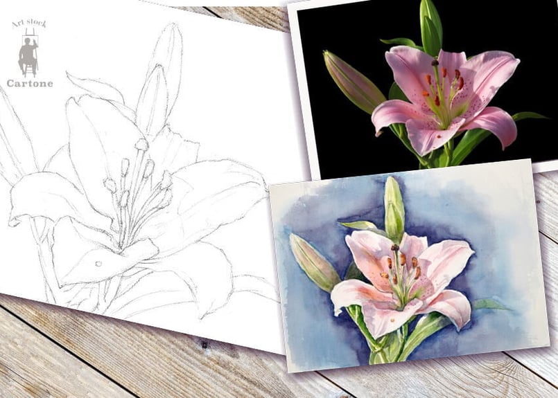 油彩画 ユリの花 091d ピンクのユリの花 （着彩見本付き） | 下絵工房カルトーネ