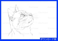 092c  見上げる猫の横顔