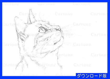 092d  見上げる猫の横顔  （着彩見本付き）