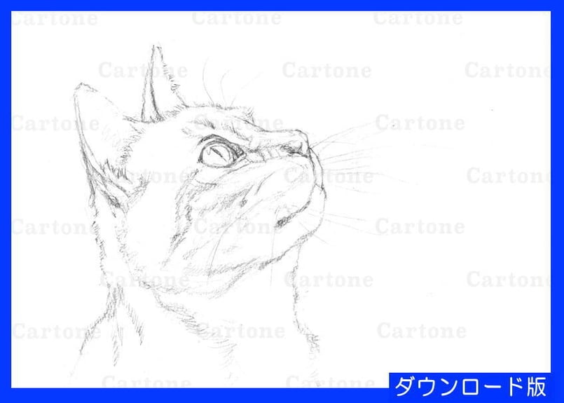 092c 見上げる猫の横顔 | 下絵工房カルトーネ