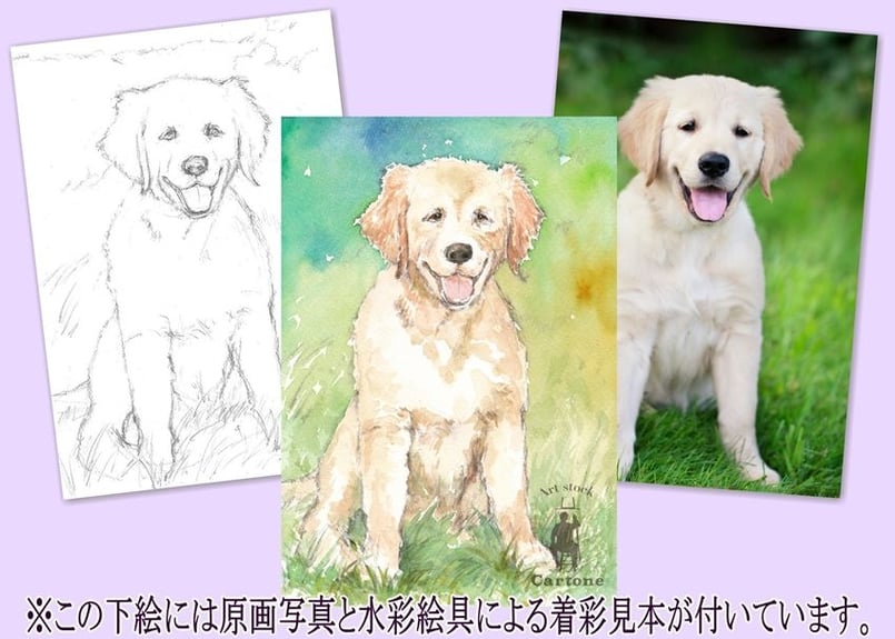 002b ラブラドールレトリバーの子犬（着彩見本付き） | 下絵工房カルトーネ