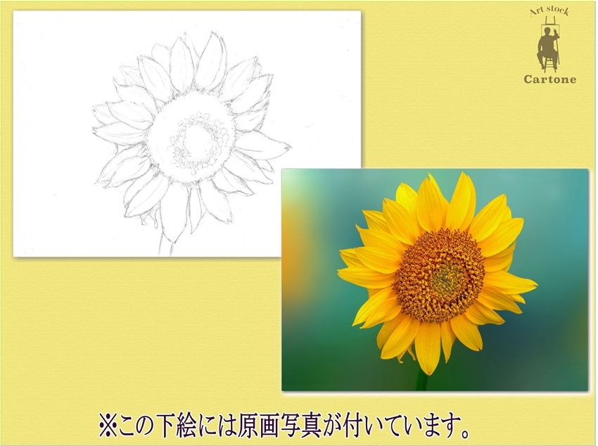 004c ひまわり | 下絵工房カルトーネ