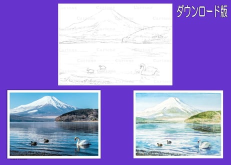 163d 富士山と白鳥の湖 （着彩見本付き）