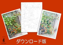 205d 路地に咲く花（着彩見本付き）