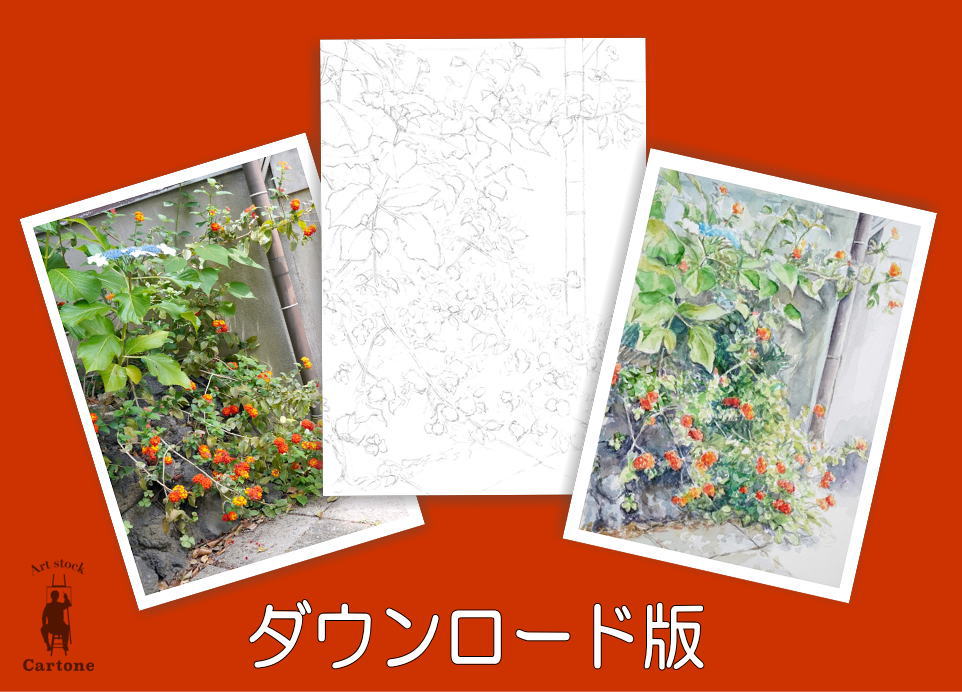 205d 路地に咲く花（着彩見本付き） | 下絵工房カルトーネ