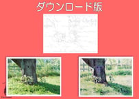 215d 草叢(着彩見本付き）