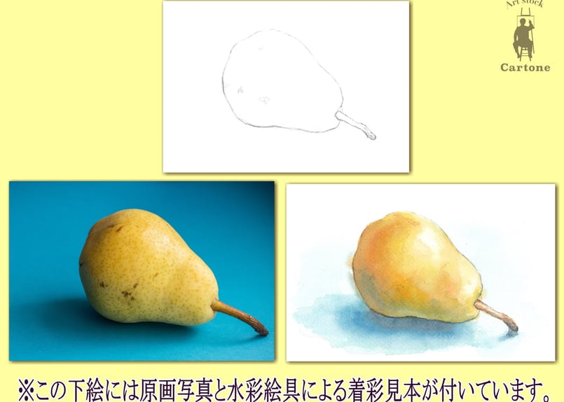 012b 洋梨（着彩見本付き） | 下絵工房カルトーネ