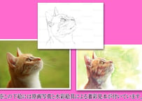 092d  見上げる猫の横顔  （着彩見本付き）