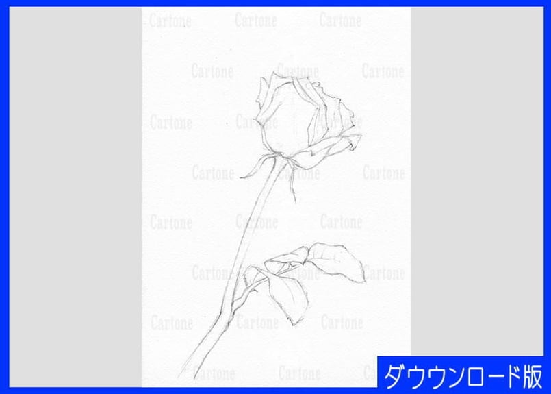 015c 赤いバラ（一輪） | 下絵工房カルトーネ