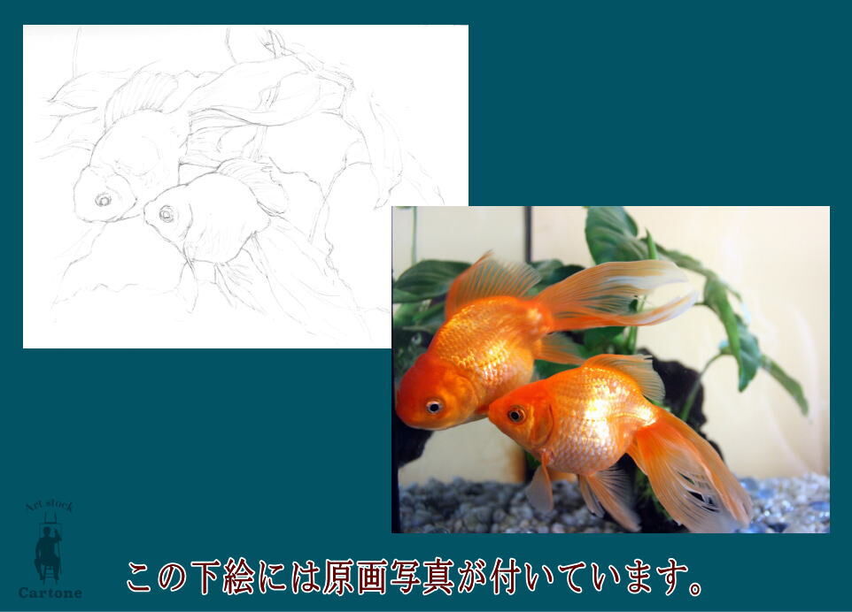 126c 金魚 | 下絵工房カルトーネ