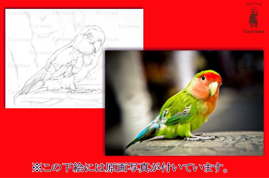 カラフルなインコの絵皿27センチ インコ・鳥 小皿・豆皿 4点セット（80羽の中からお好きな鳥