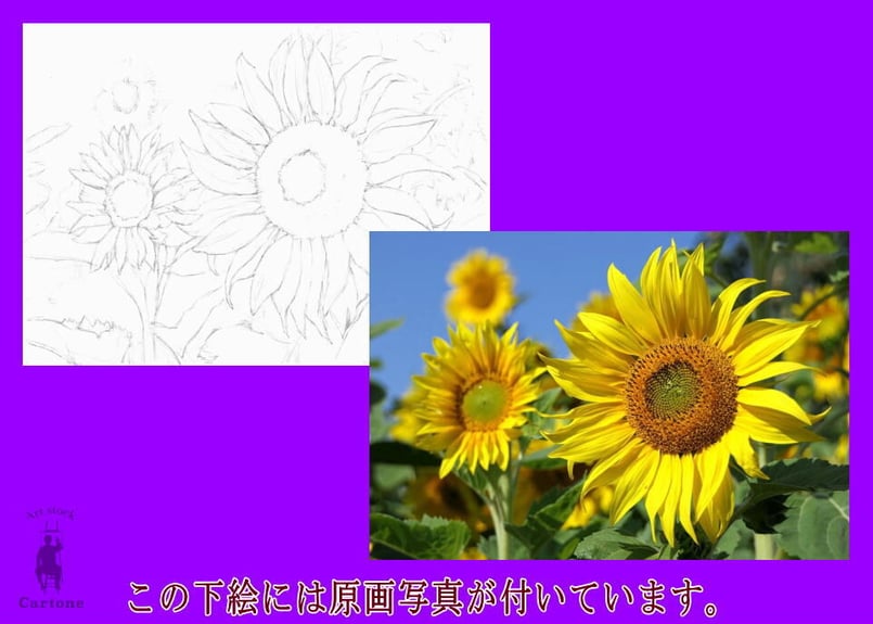 ひまわりページ 129a ひまわり畑 | 下絵工房カルトーネ