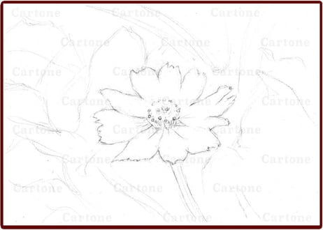 035a  黄色い小さな花