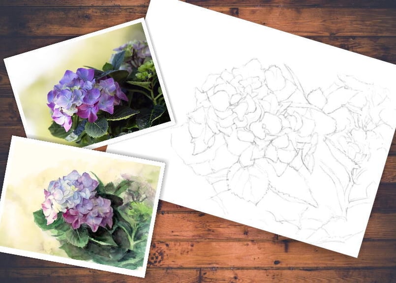 120b 紫陽花 （着彩見本付き） | 下絵工房カルトーネ