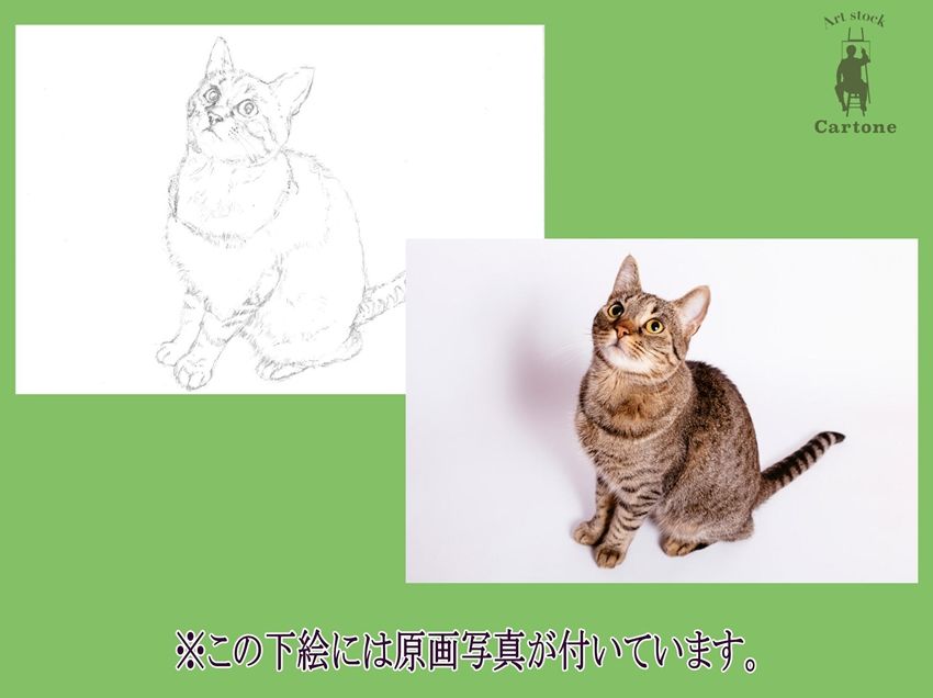 イラスト原画 「見上げる猫」 013a 上を見上げるネコ | 下絵工房カルトーネ