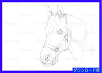 093c  馬の頭部