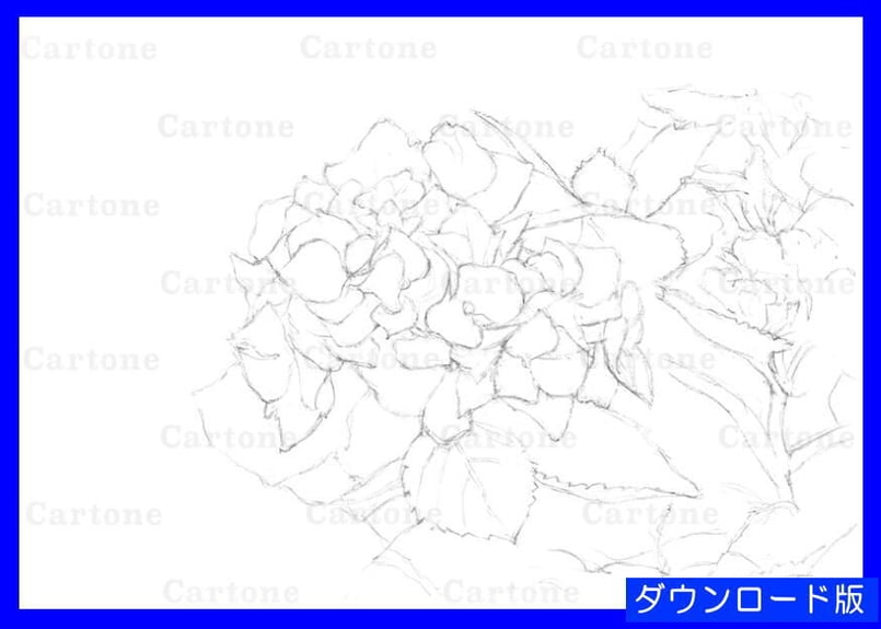 120c 紫陽花 | 下絵工房カルトーネ