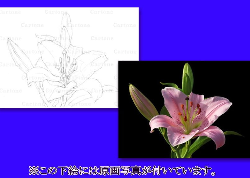 ユリの花 水彩画　サイズはF10号 Painting Casablanca on size 10F - YouTube