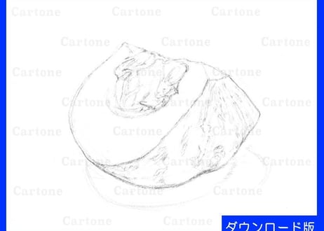 047d  かぼちゃ （着彩見本付き）