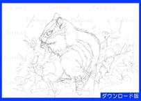 088c  シマリス