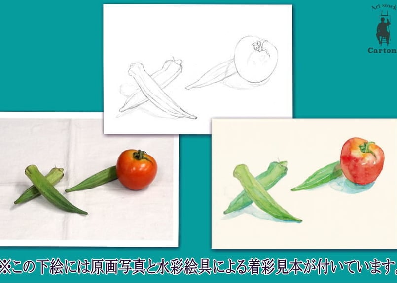 046d オクラとトマト （着彩見本付き） | 下絵工房カルトーネ
